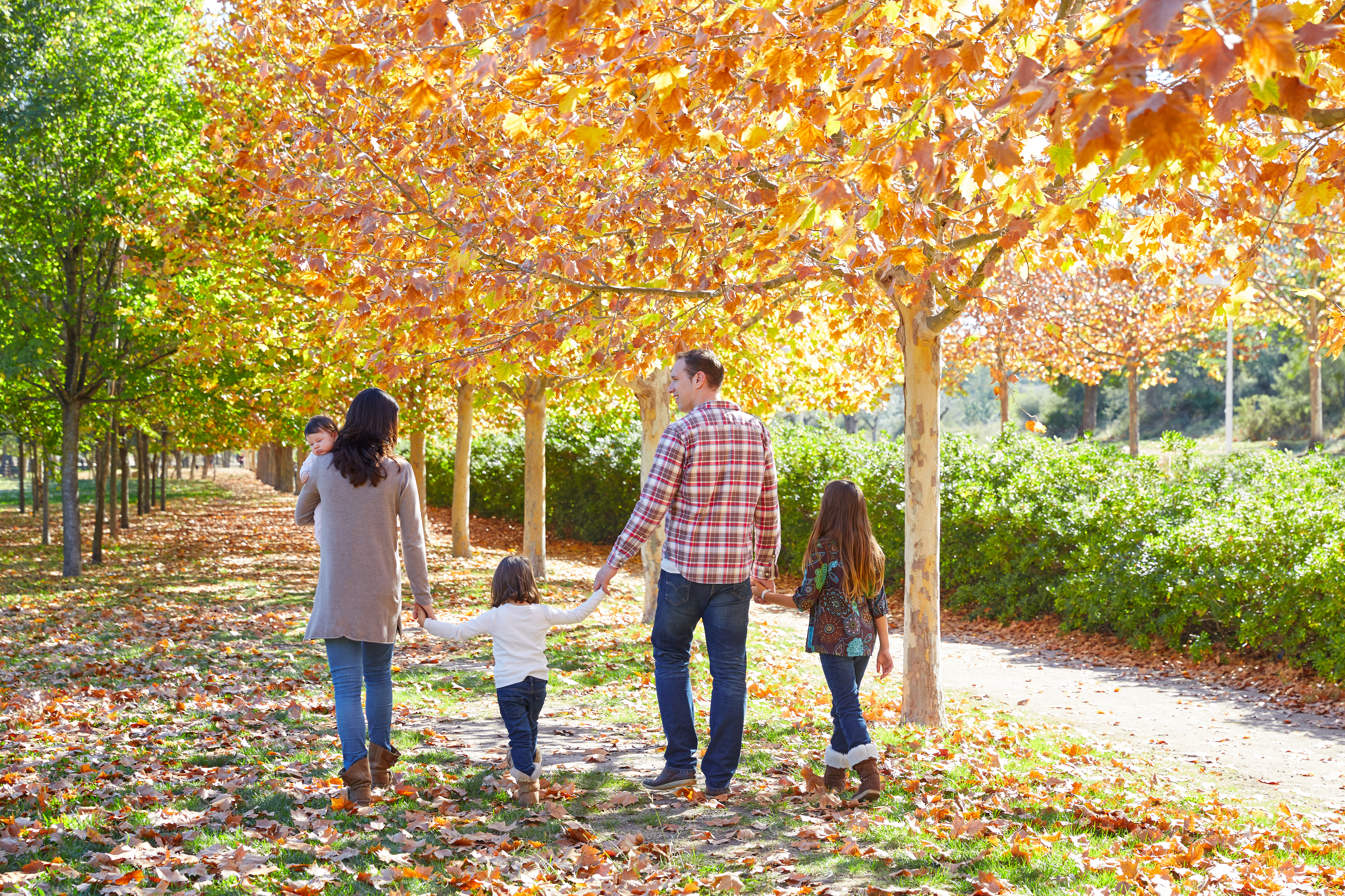 A family with small children walks down a sunny,  grassy path surrounded by fall leaves and trees that are changing color.