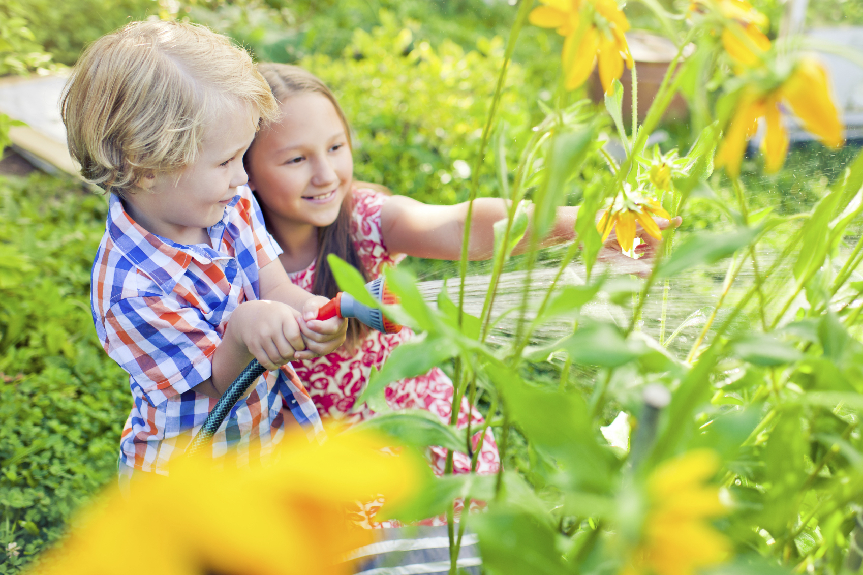 Two children water a garden together with bright yellow flowers.